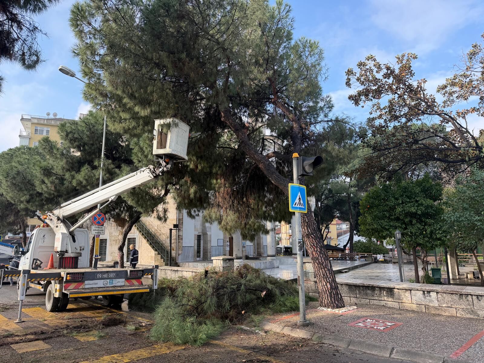 Başkan Çerçioğlu’ndan Aydın’ın Yeşil Dokusunu Geleceğe Taşıyan Çalışma (2)