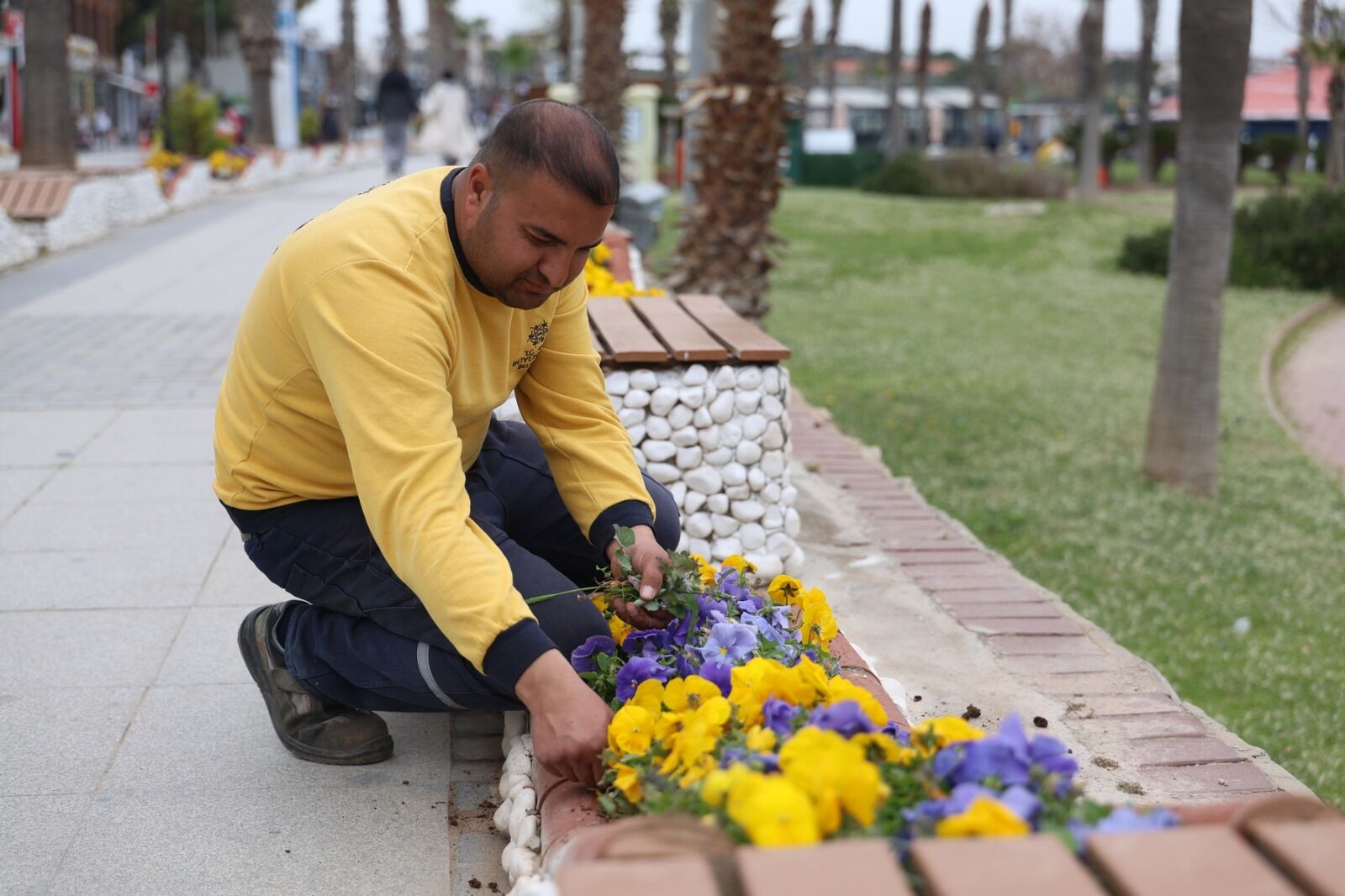 Başkan Çerçioğlu’nun Öncülüğünde Didim Turizm Sezonuna Hazırlanıyor (4)