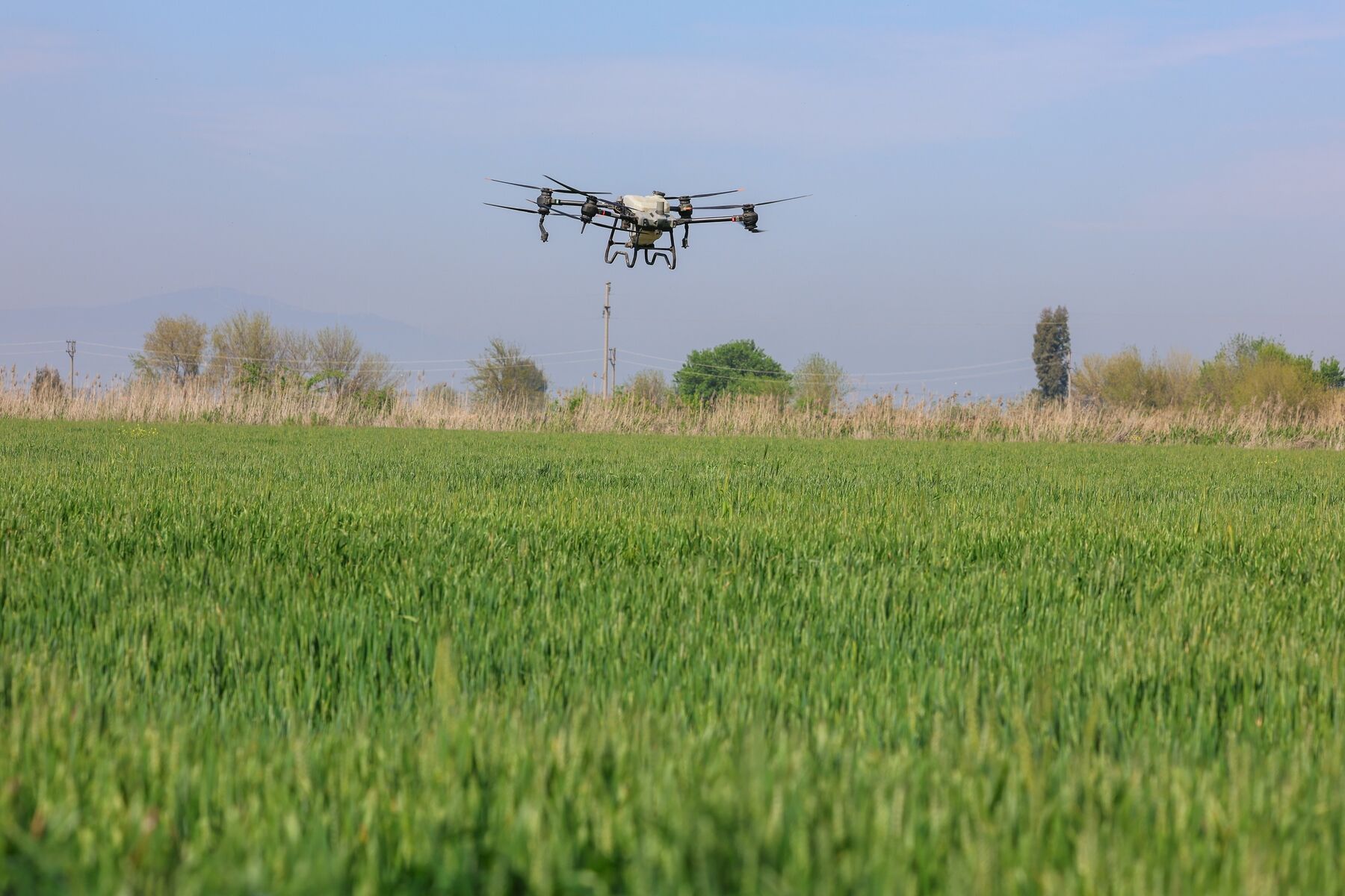 Başkan Çerçioğlu’nun Tarıma Ve Üreticilere Destekleri Sürüyor Tarlalar Drone Ile Ücretsiz Gübreleniyor (2)-1
