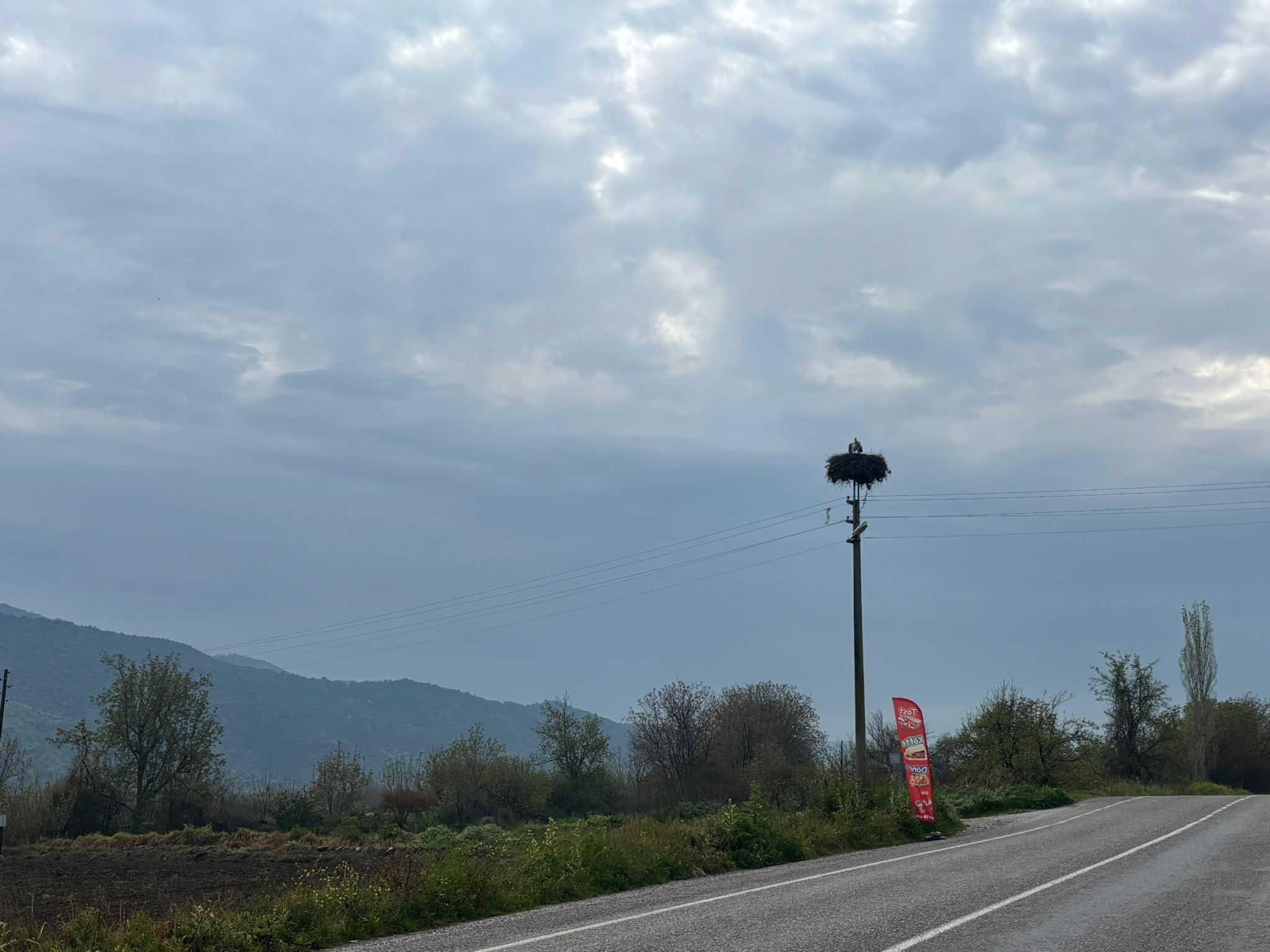 Bozdoğan’da Baharın Müjdecisi Leylekler Yuvalarına Döndü (1)