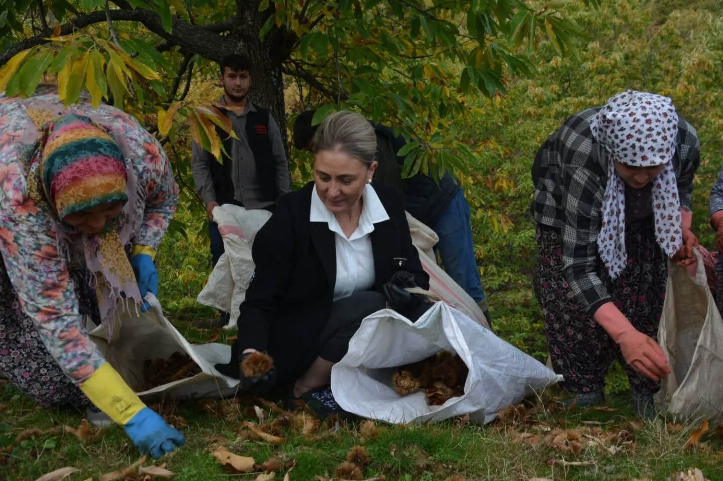 Whatsapp Image 2026 04 04 At 13.23.54 (1)