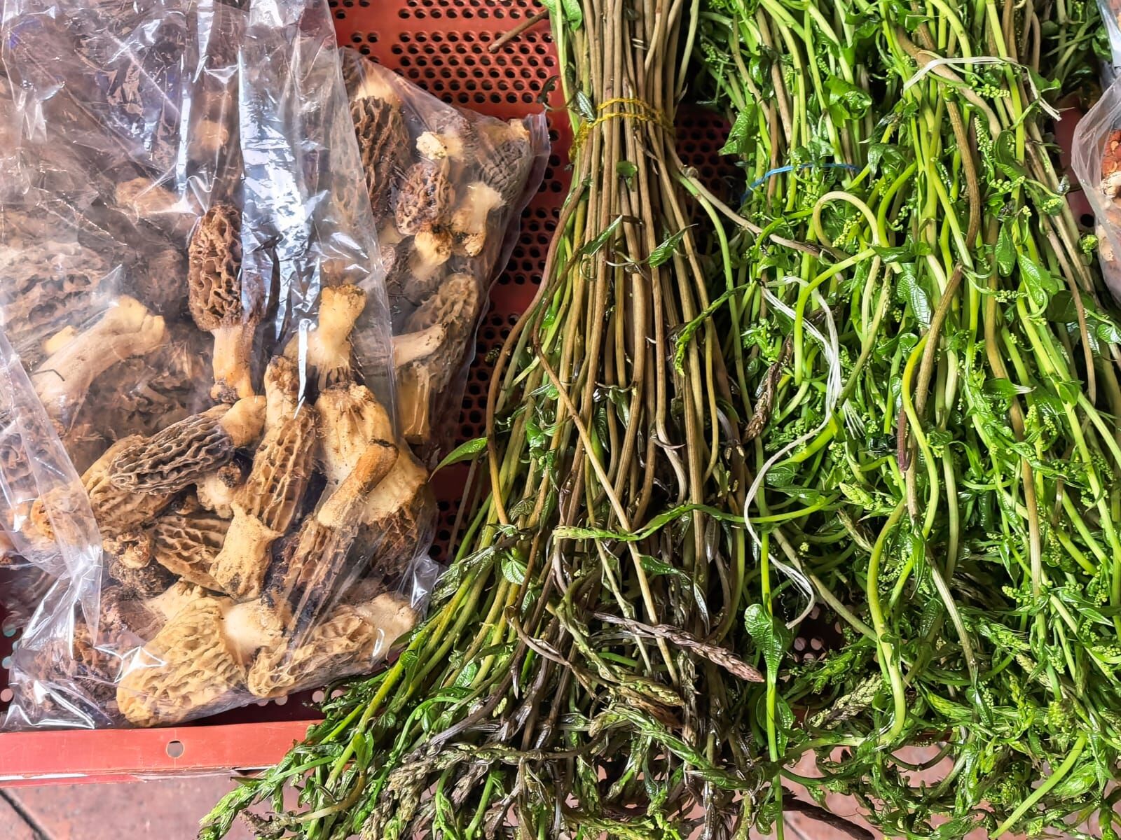 Whatsapp Image 2026 04 16 At 14.39.23 (1)