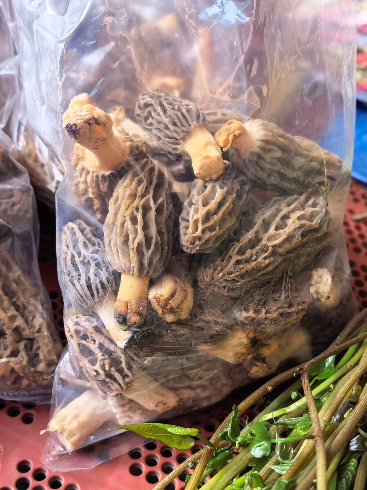 Whatsapp Image 2026 04 16 At 14.39.23