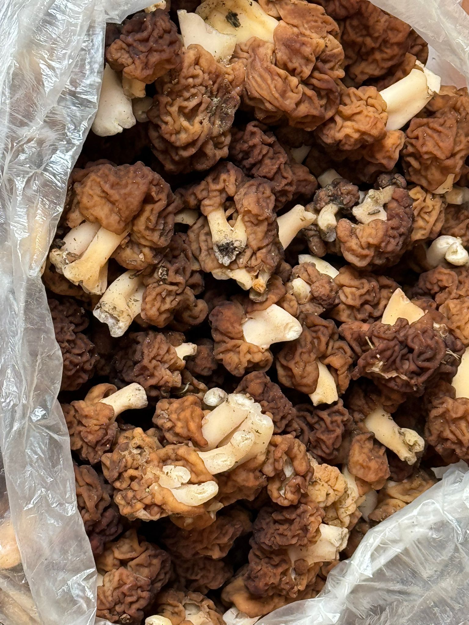 Whatsapp Image 2026 04 16 At 14.39.25 (2)