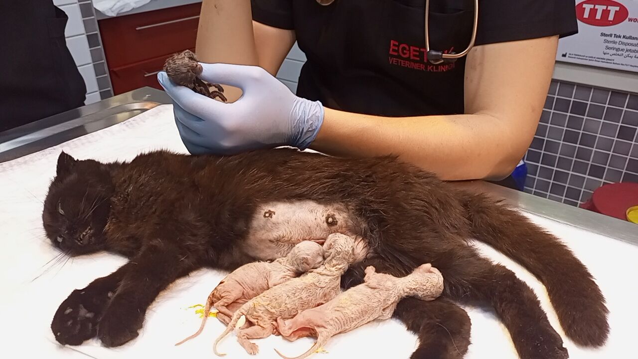 Whatsapp Image 2026 04 18 At 09.48.54