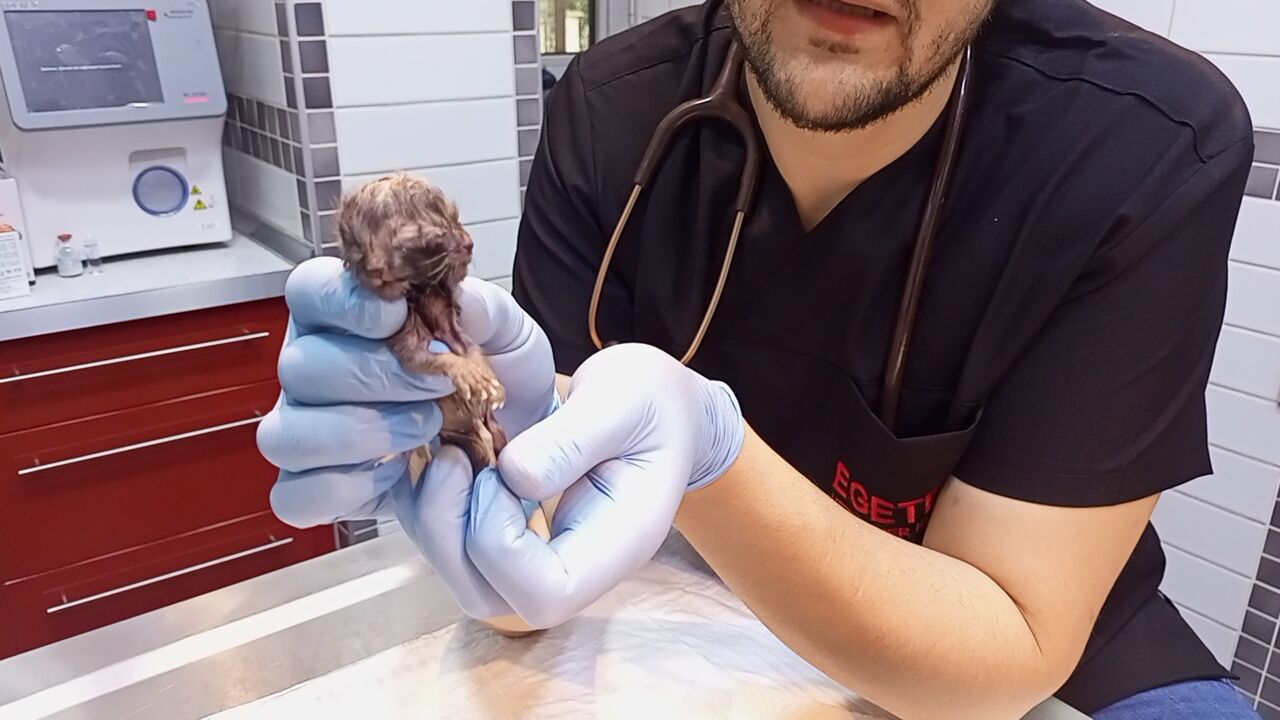 Whatsapp Image 2026 04 18 At 09.48.55 (1)