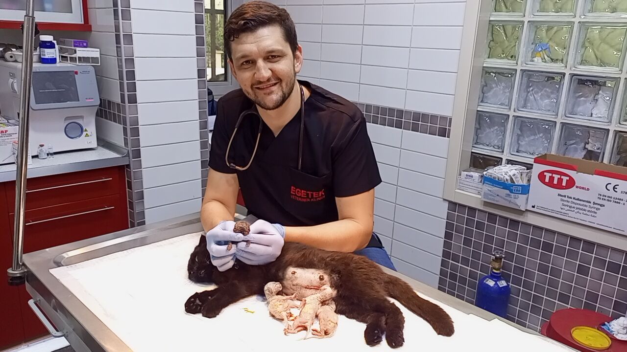 Whatsapp Image 2026 04 18 At 09.48.55