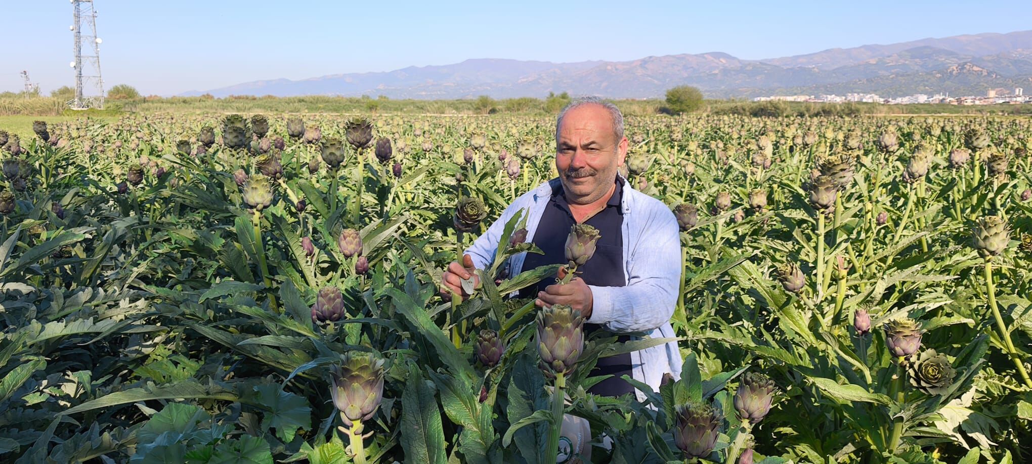 Whatsapp Image 2026 04 20 At 11.29.46 (2)