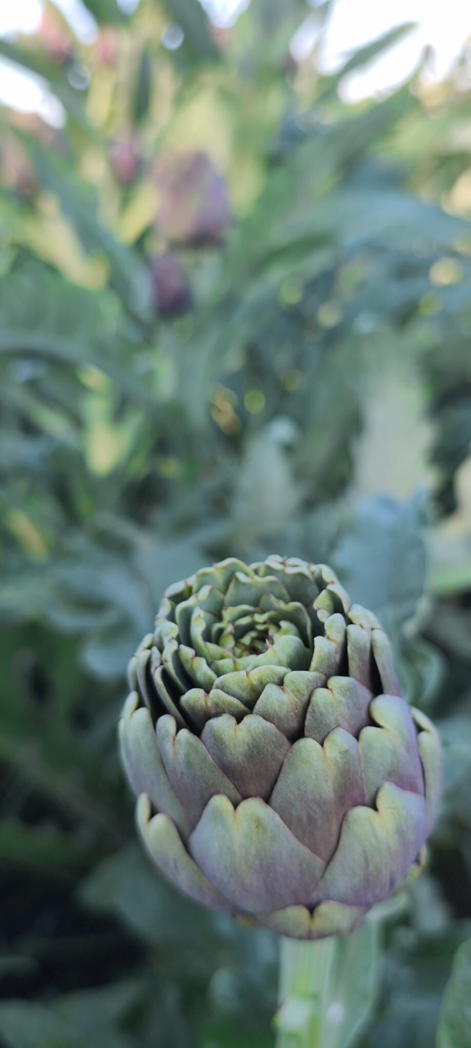 Whatsapp Image 2026 04 20 At 11.29.47