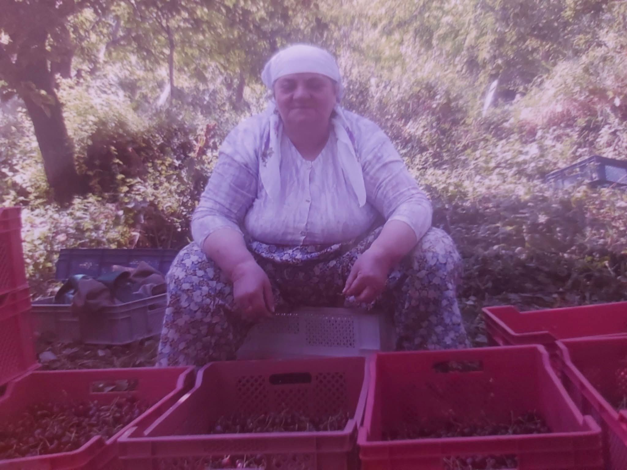 Whatsapp Image 2026 04 20 At 14.56.25