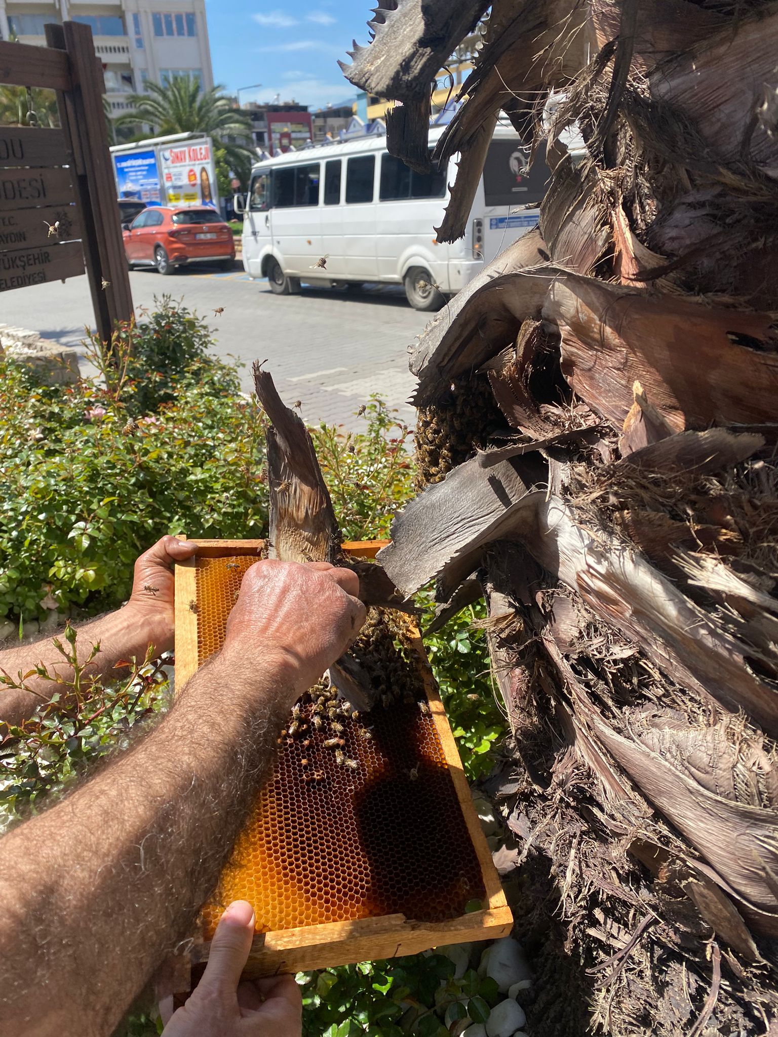 Whatsapp Image 2026 04 21 At 09.58.06 (1)