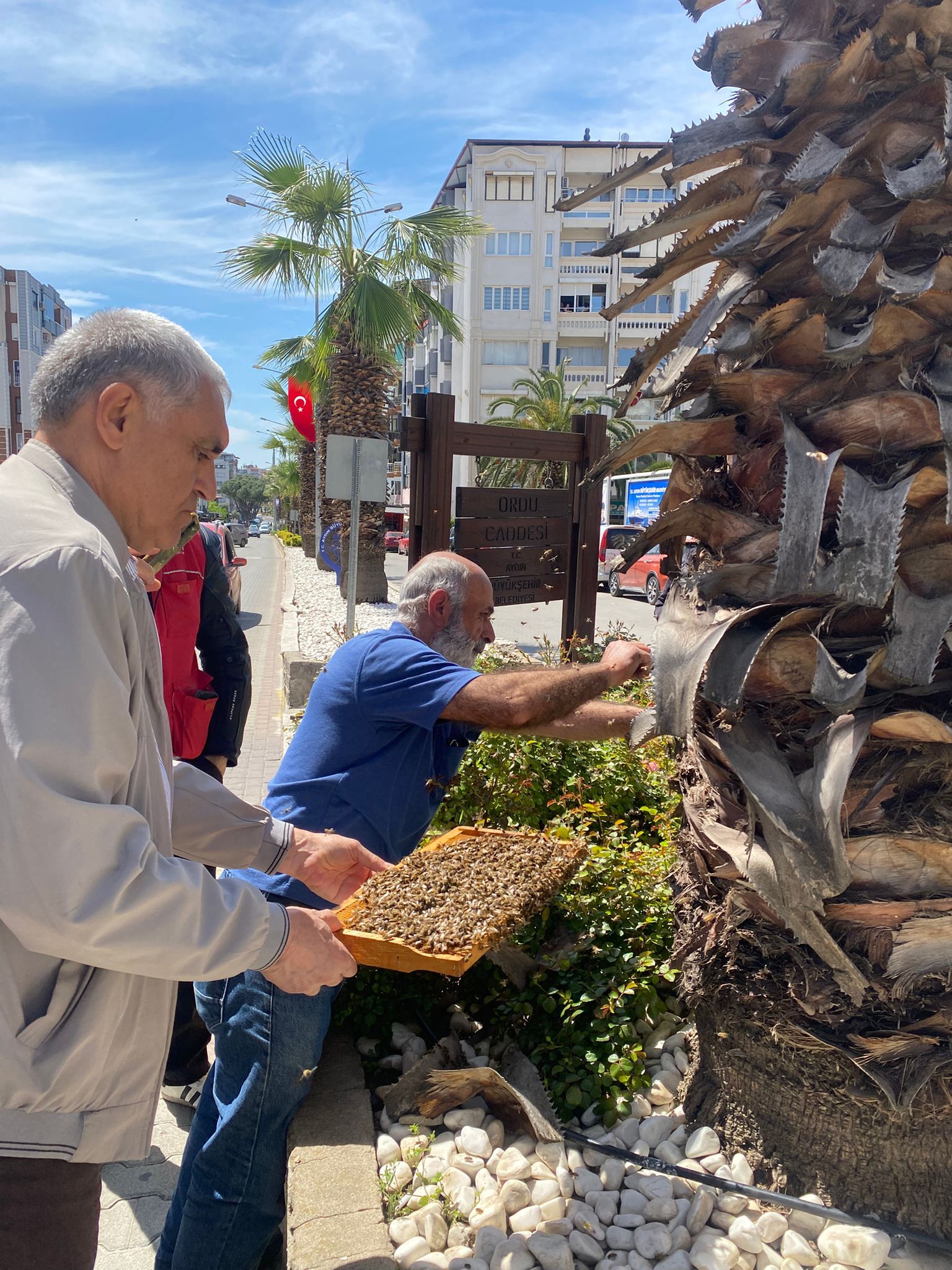 Whatsapp Image 2026 04 21 At 09.58.07