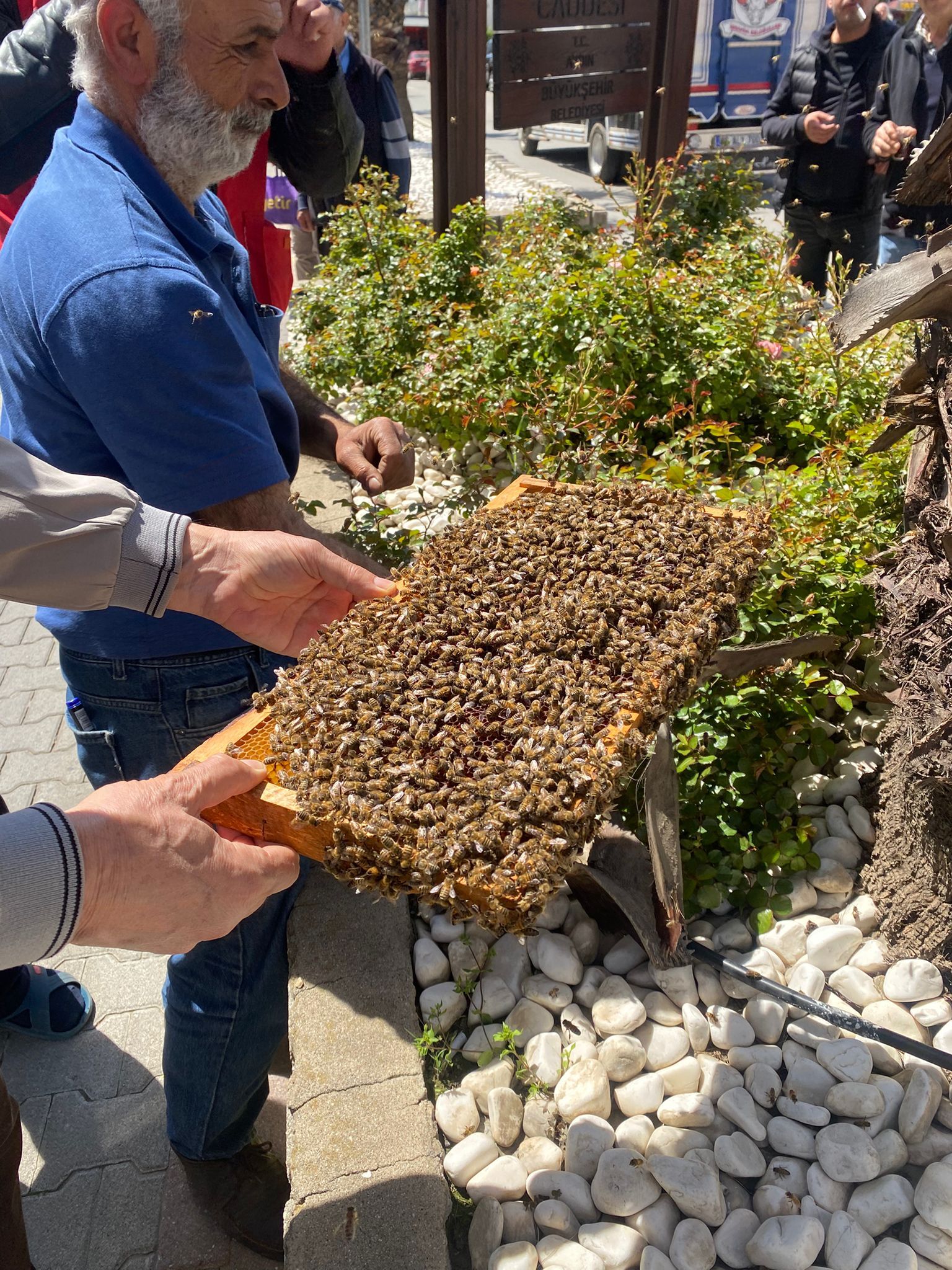 Whatsapp Image 2026 04 21 At 09.58.19 (1)