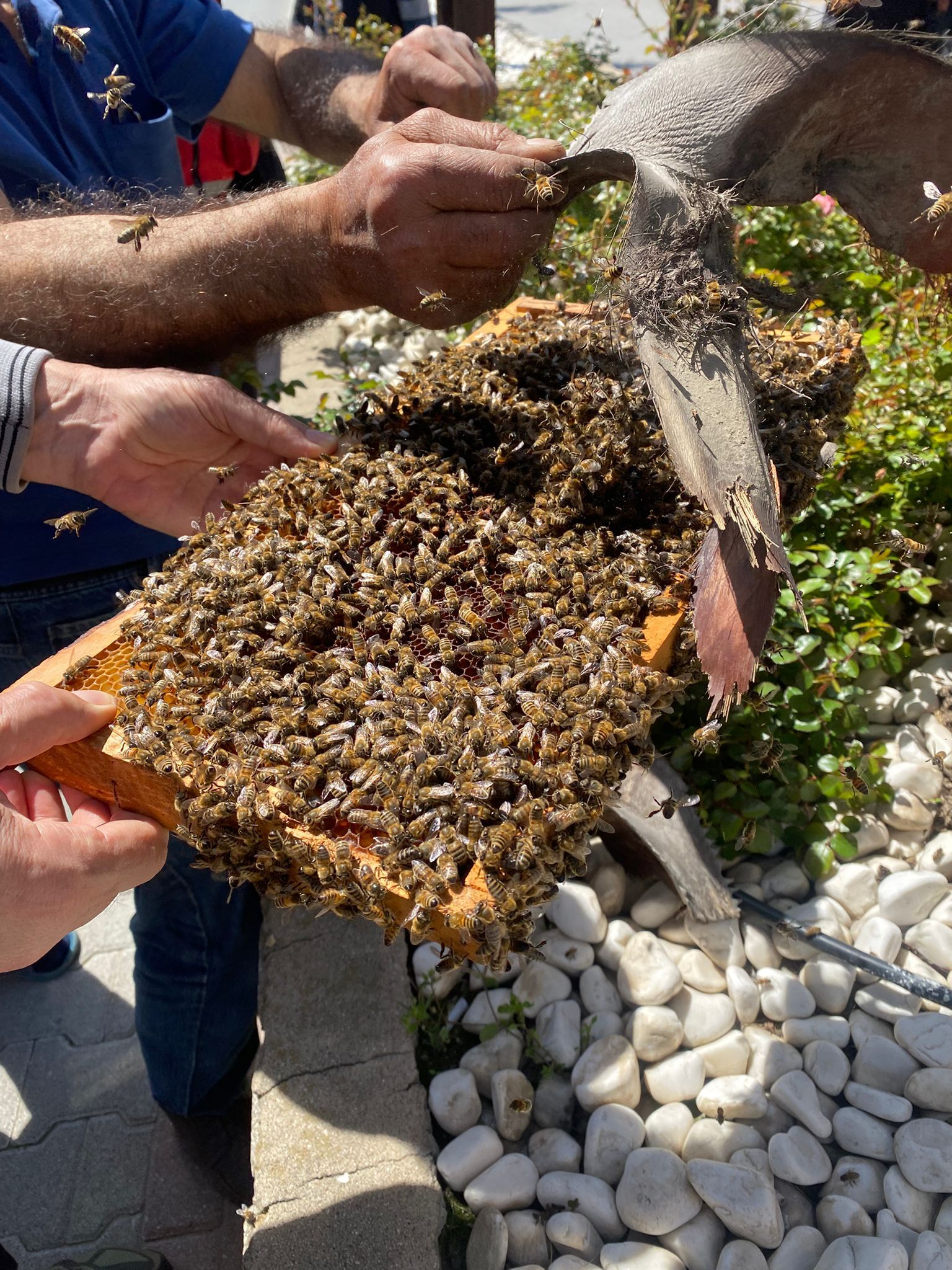 Whatsapp Image 2026 04 21 At 09.58.20