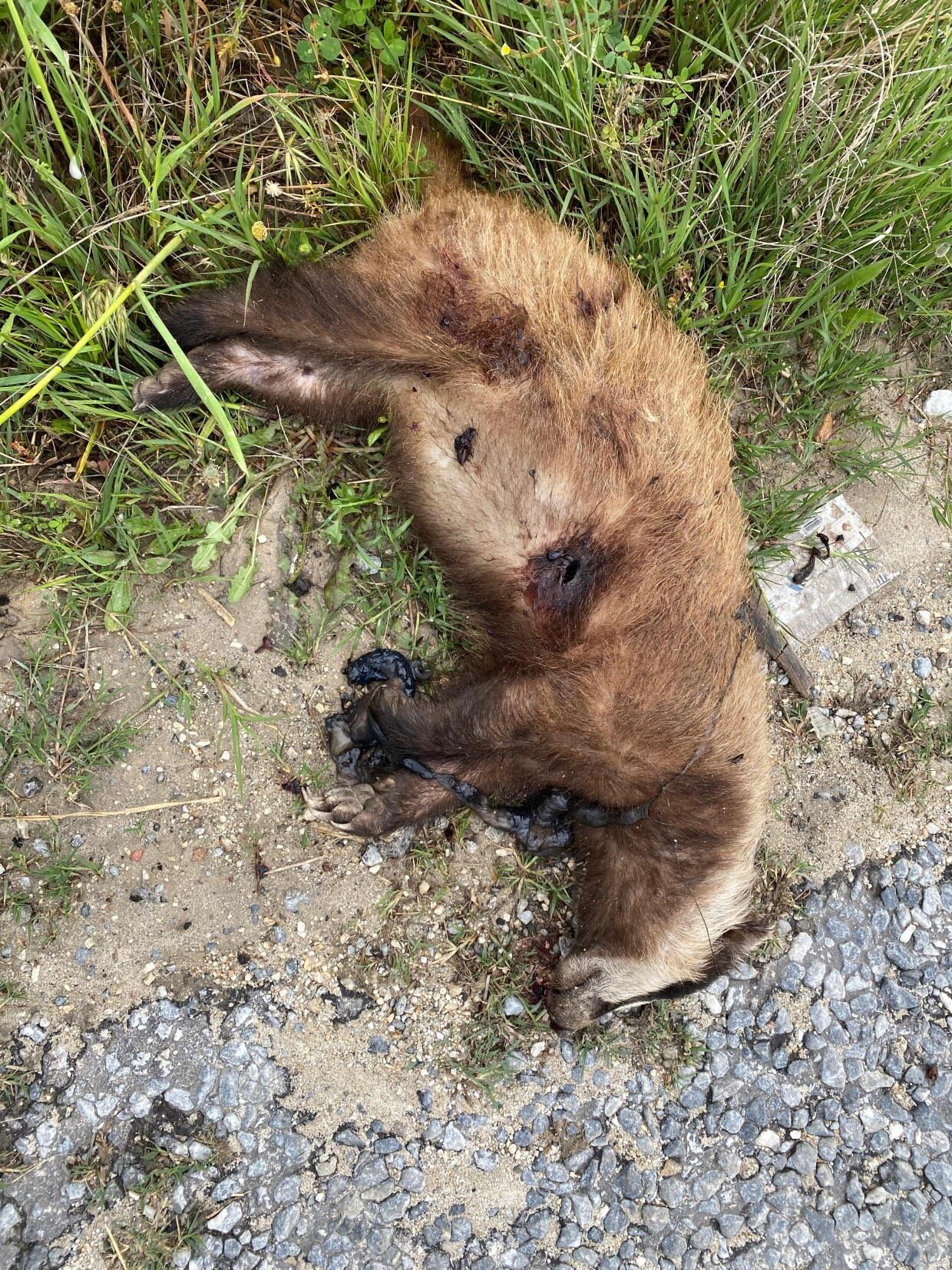 Whatsapp Image 2026 04 23 At 09.55.44 (1)