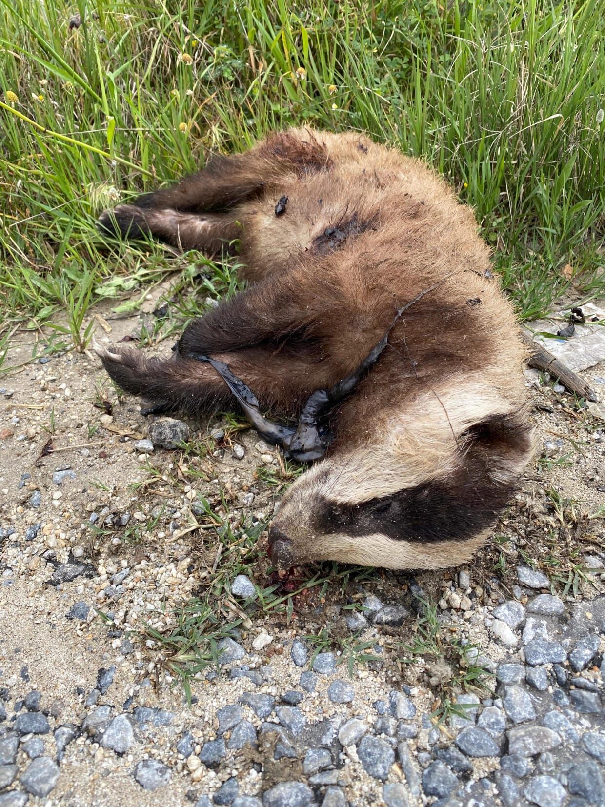 Whatsapp Image 2026 04 23 At 09.55.44 (2)