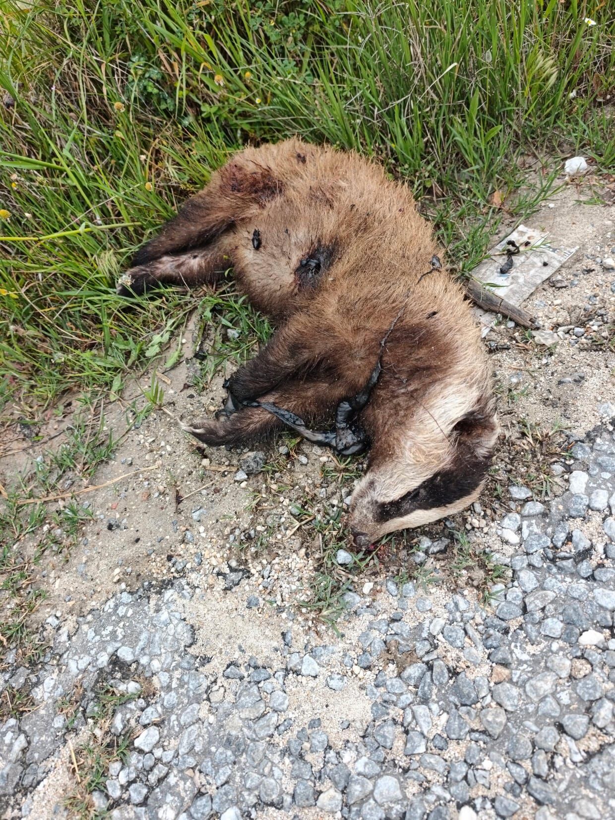 Whatsapp Image 2026 04 23 At 09.55.45