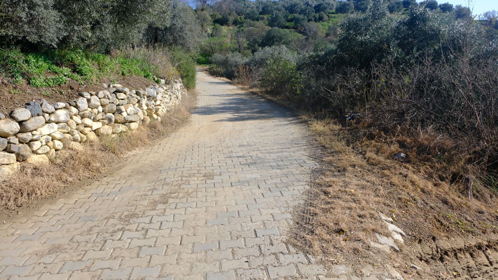 Whatsapp Image 2026 04 28 At 12.43.28 (1)