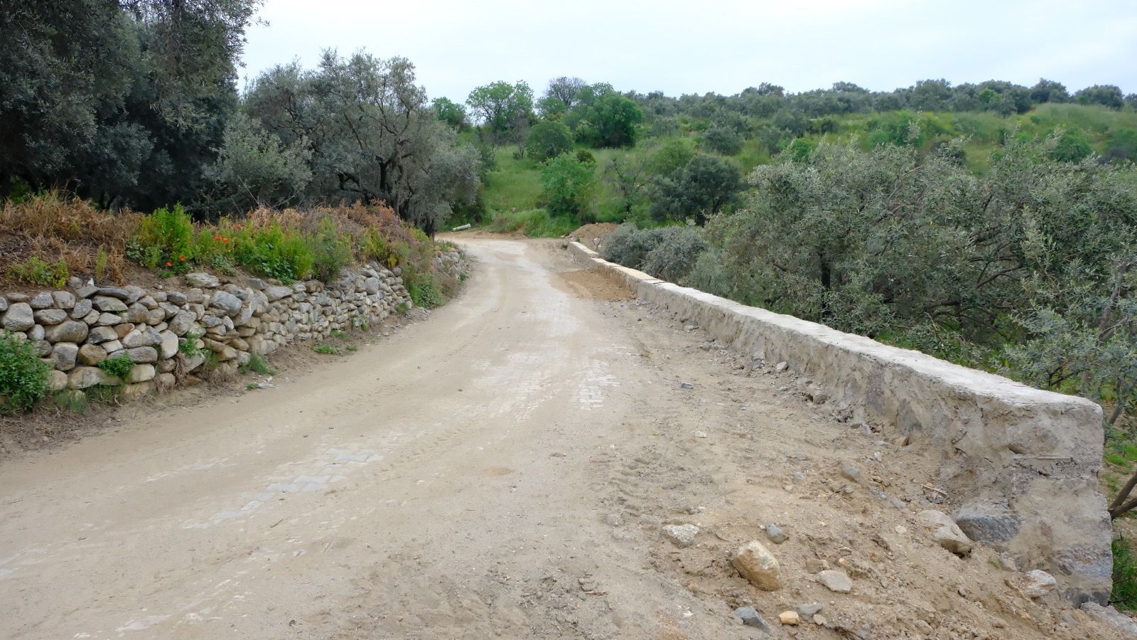 Whatsapp Image 2026 04 28 At 12.43.28 (2)