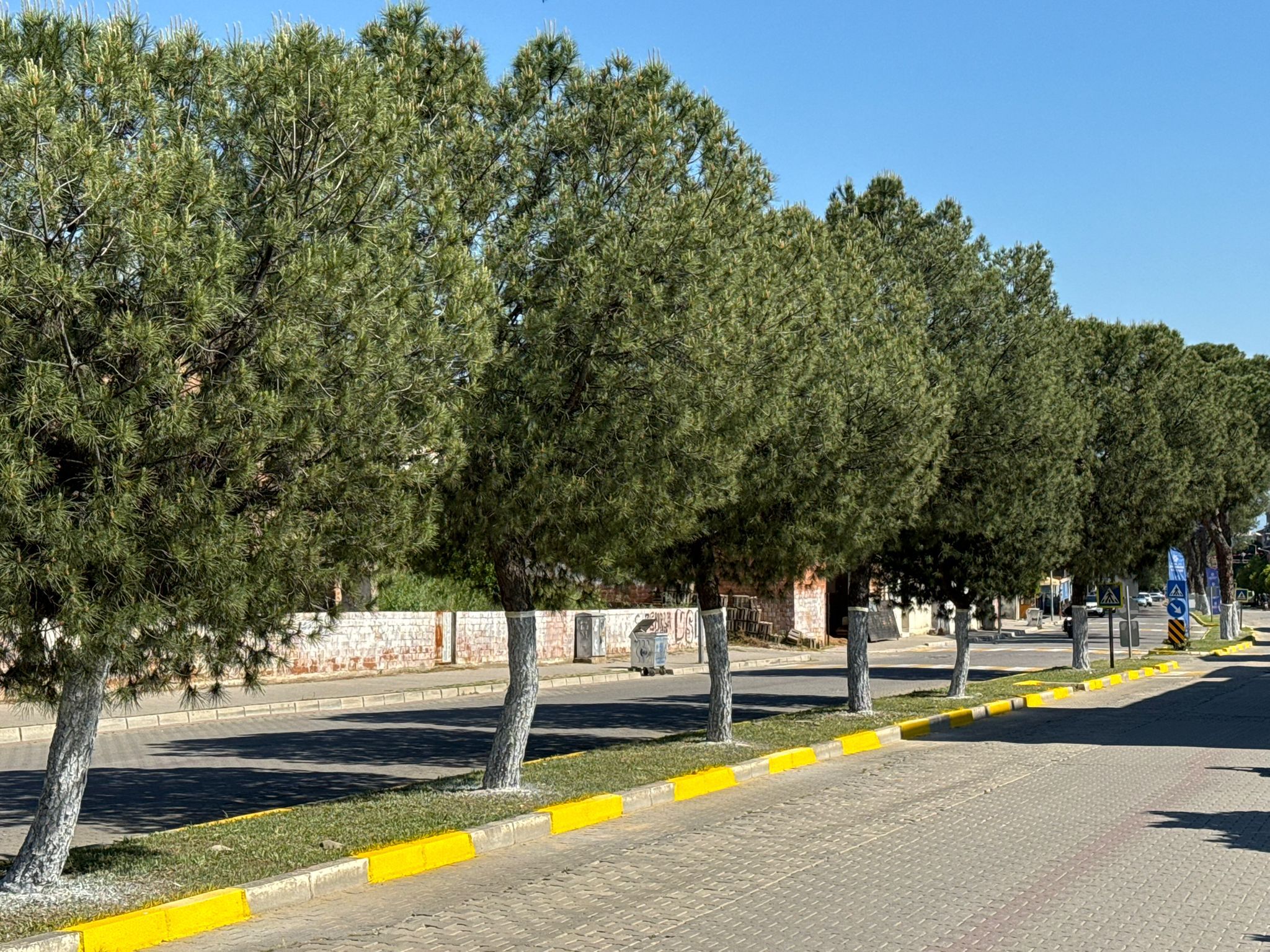 Whatsapp Image 2026 04 30 At 16.25.14