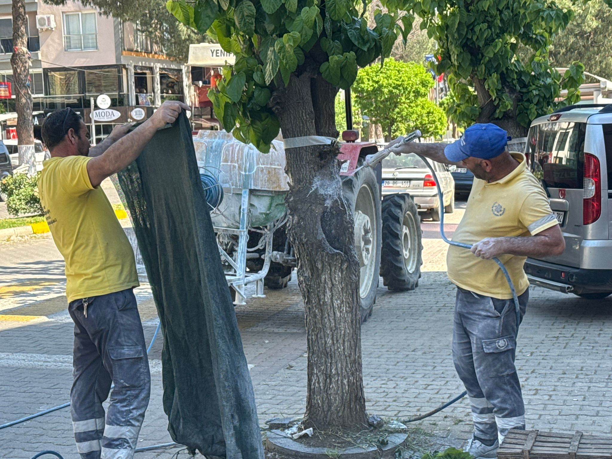 Whatsapp Image 2026 04 30 At 16.25.15