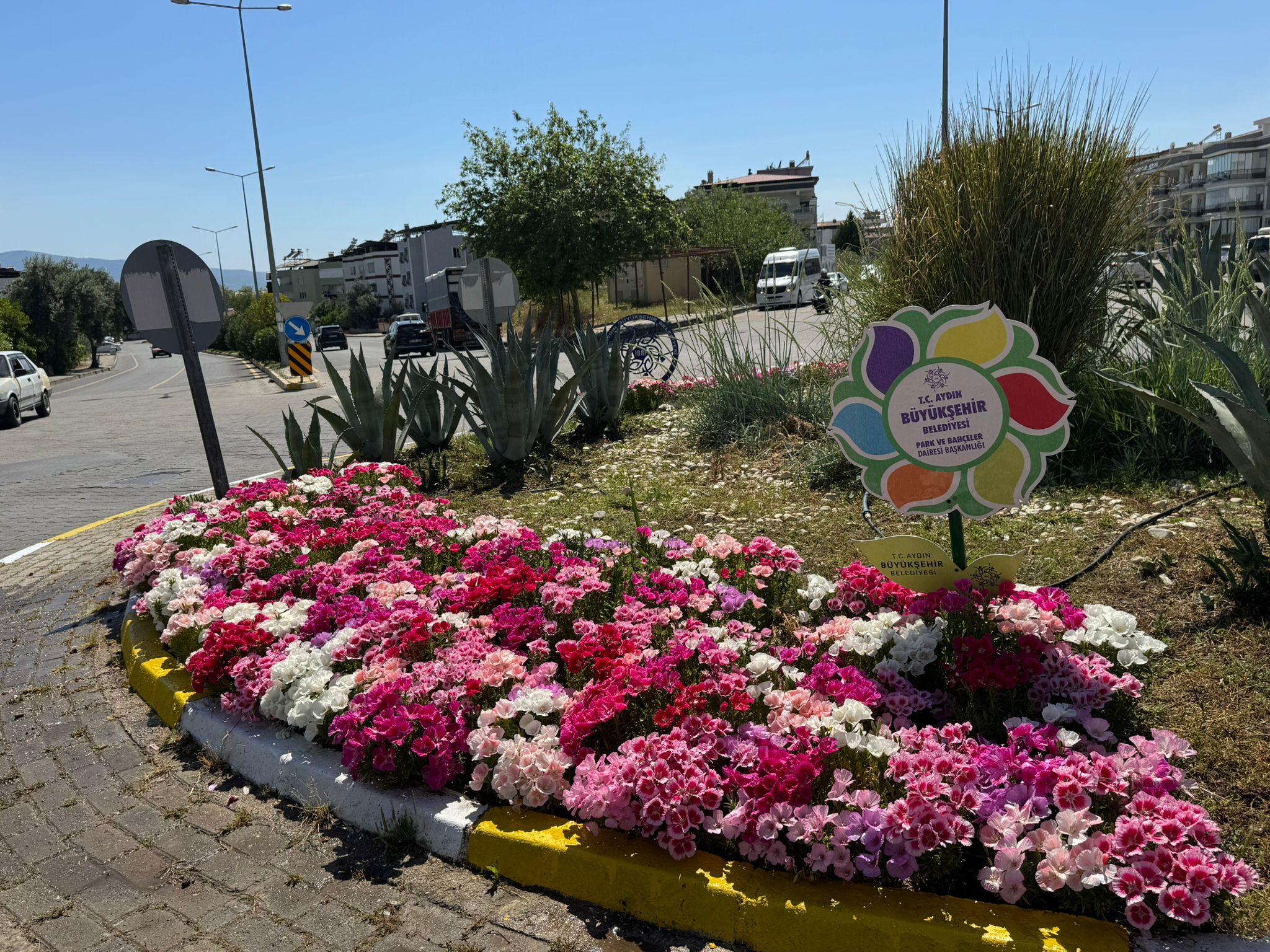 Whatsapp Image 2026 04 30 At 16.25.16 (2)