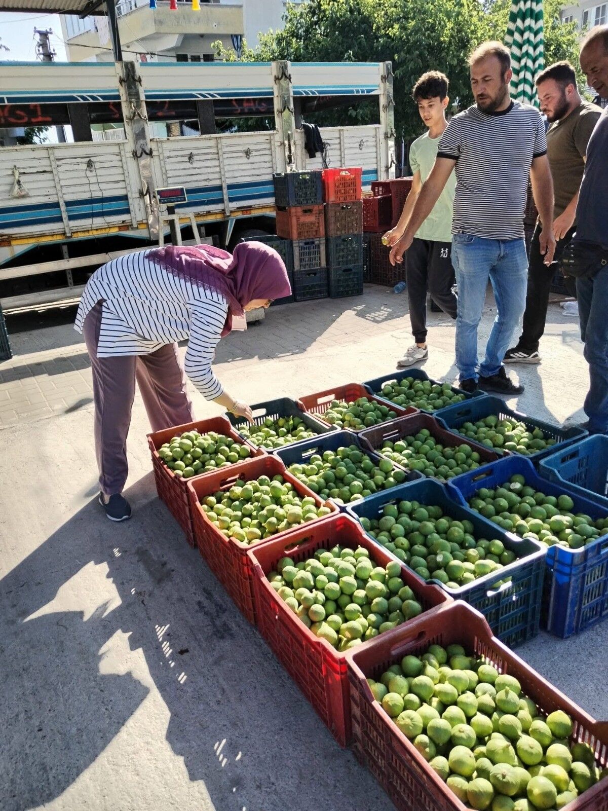 Aydın’da Ekipler Ilek Pazarında (1)