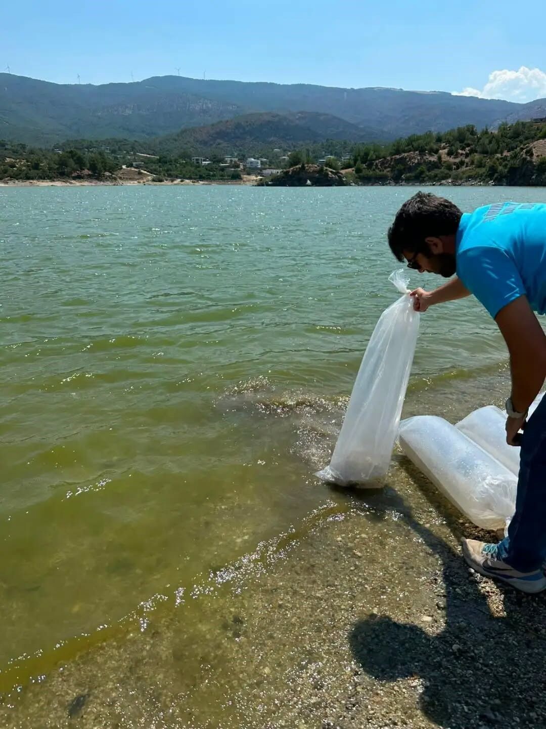 Aydın’da 535 Bin Sazan Salındı (1)