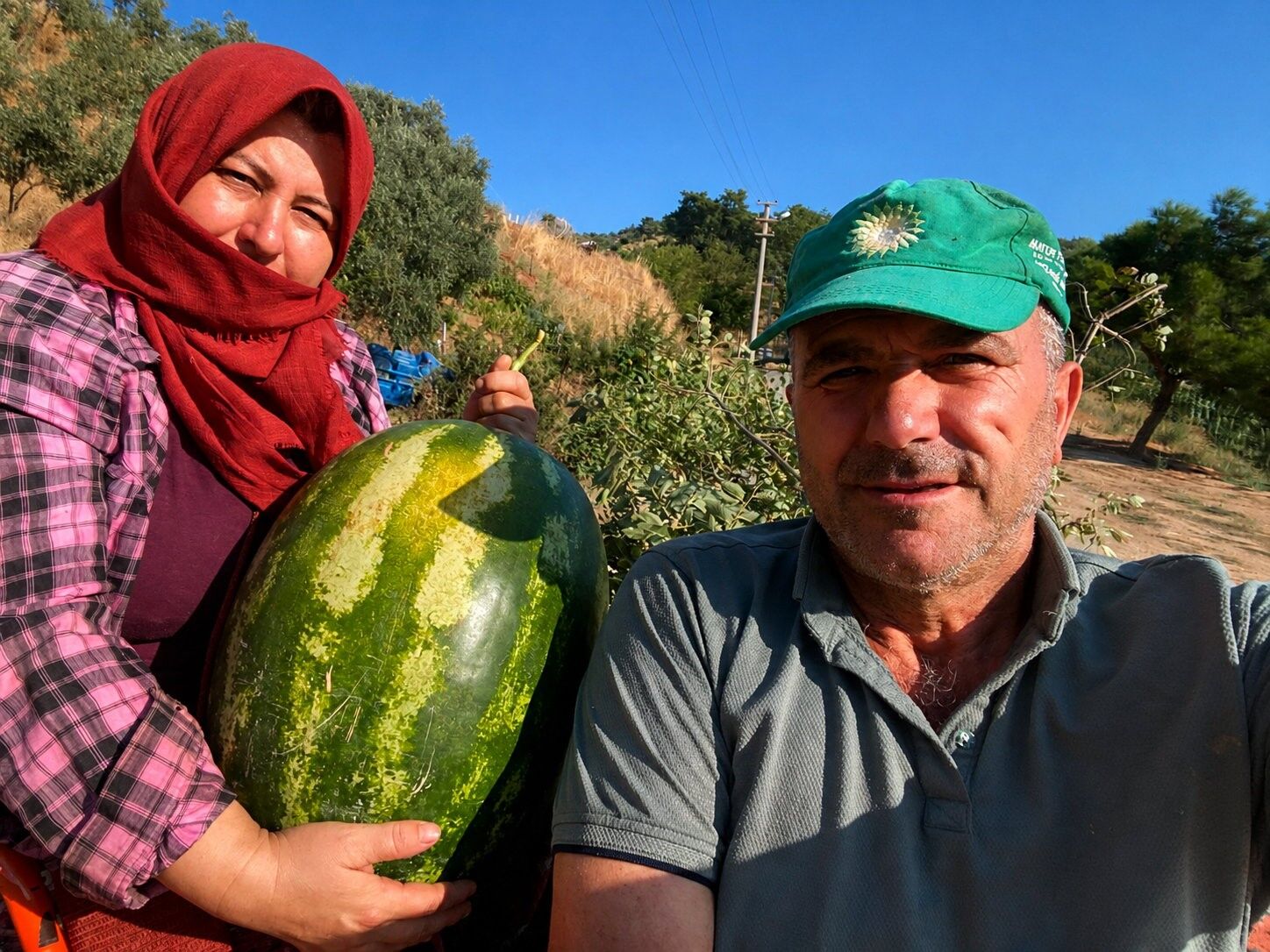 Aydın'da 550 Rakımda Karpuz Ve Balkabağı Yetiştiriyorlar (3)