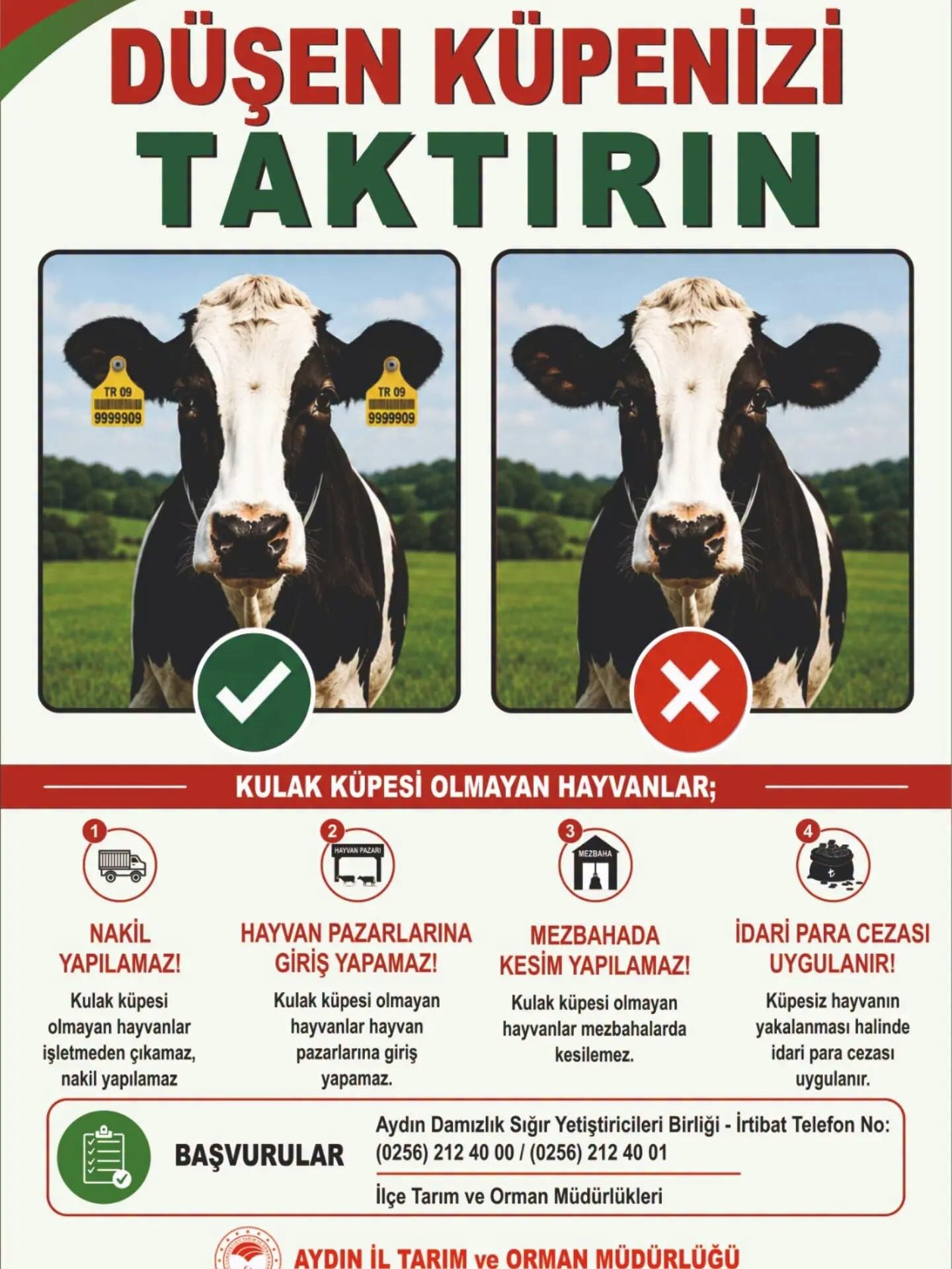 Aydın’da Hayvancılara Kritik Uyarı (1)