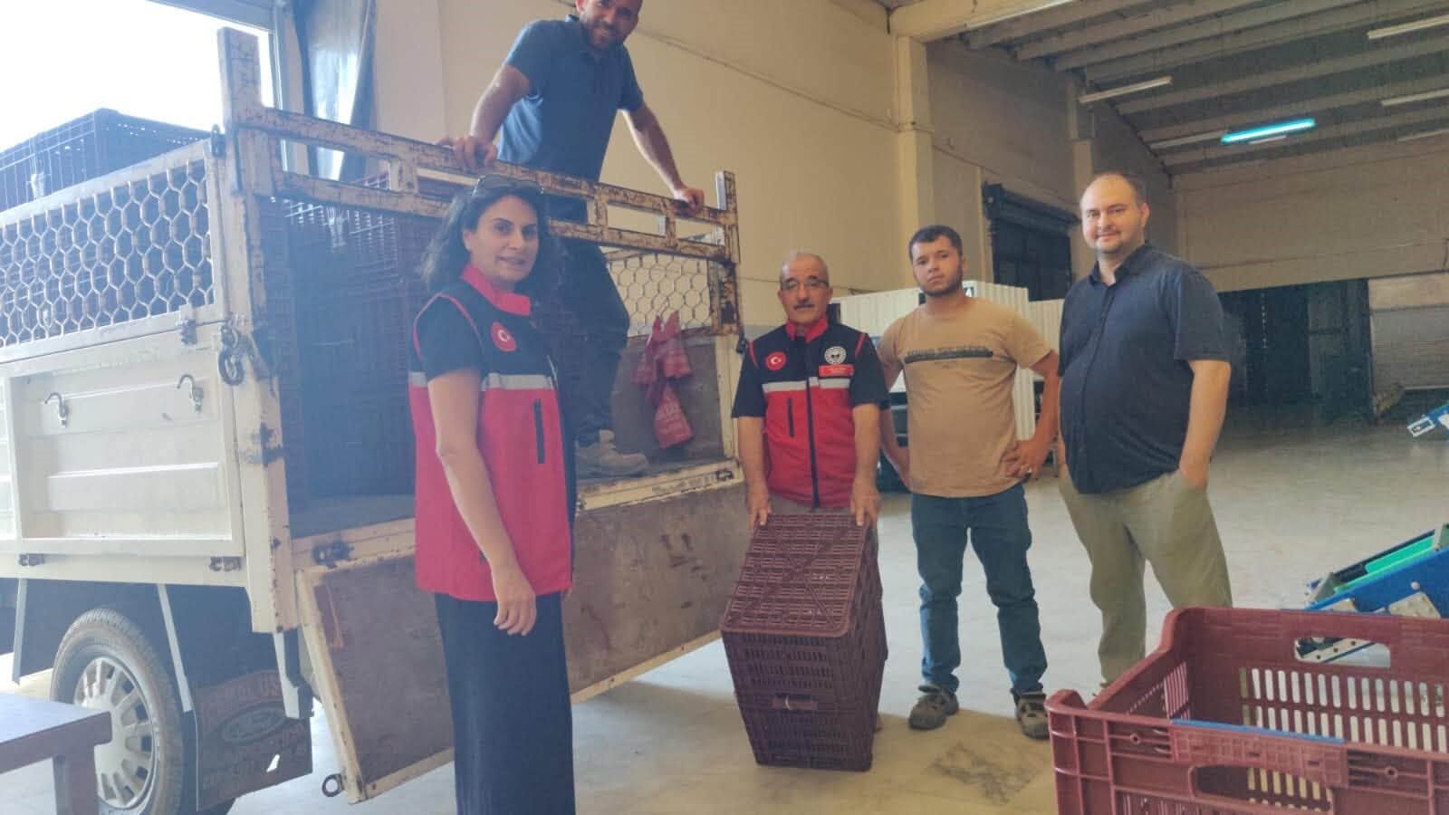 Nazilli’de Incir Üreticilerine Destek (1)
