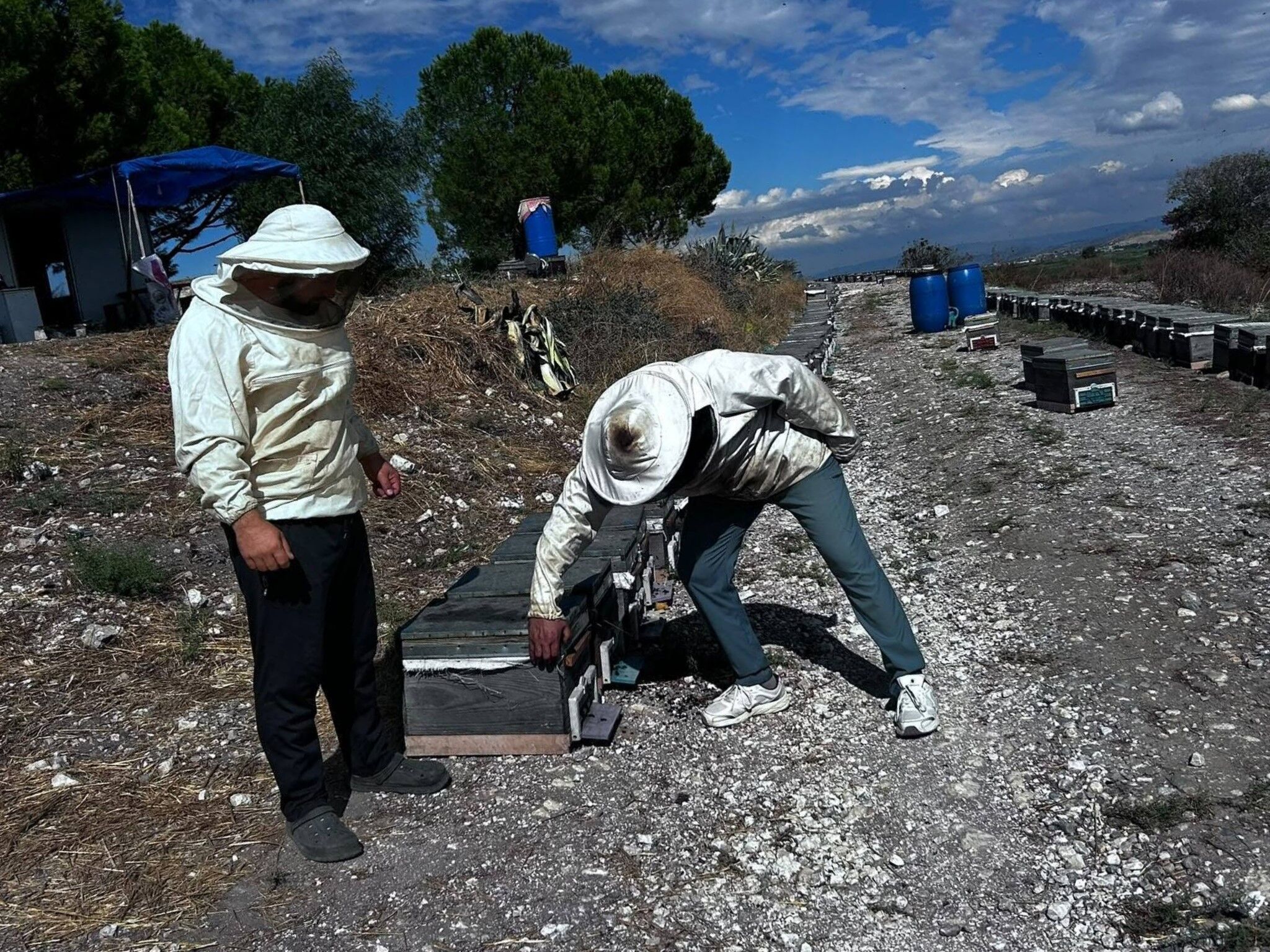 Aydın’da Arıcılık Çalışmaları Devam Ediyor (2)
