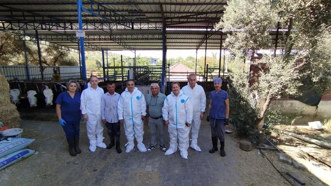 Aydın’da Hayvanlar Aşılanıyor (3)