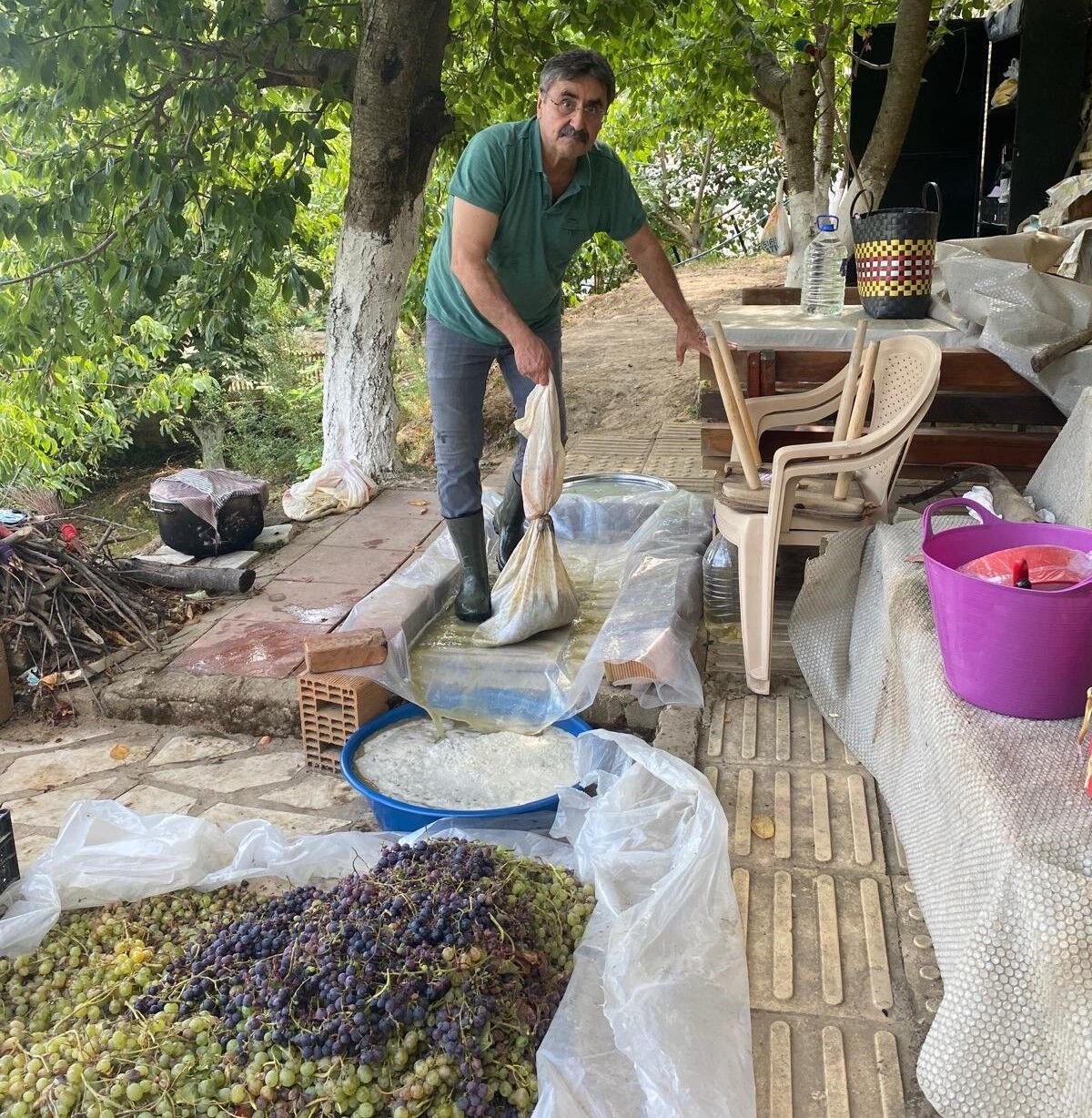 Aydın’da Pekmez Mesaisi Başladı (3)