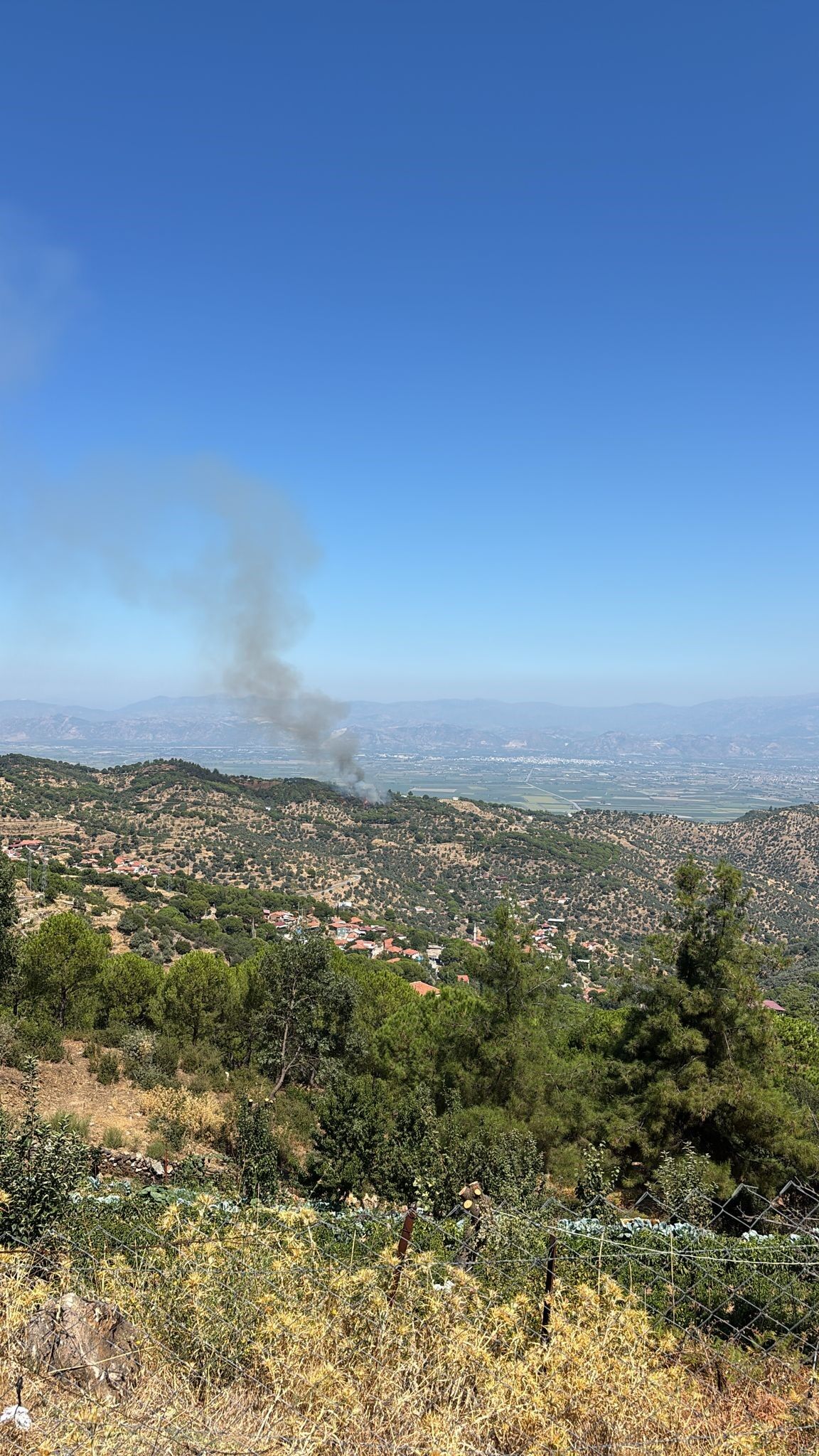 Aydın’da Yangın Çıktı (1)-1