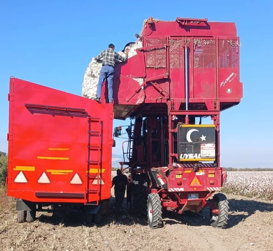 A W814888 01