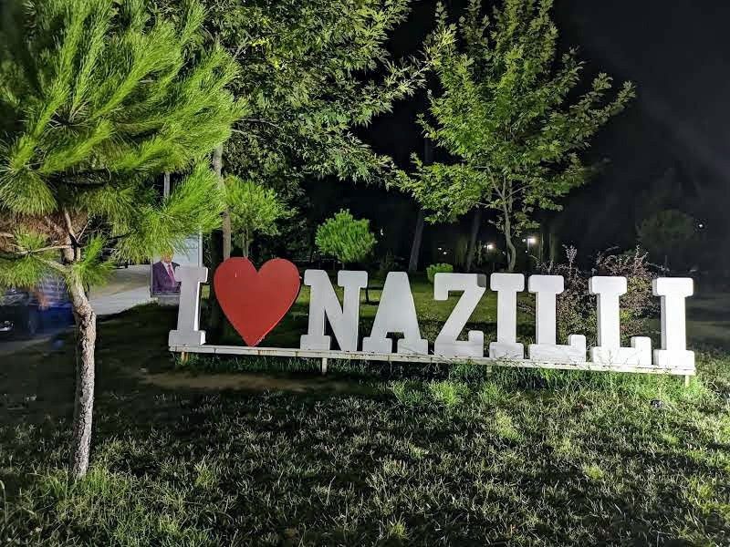 N Z L5